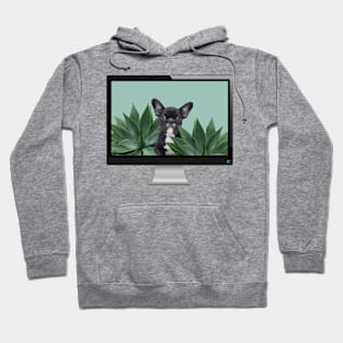 French Bulldog Computer Hoodie